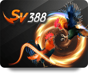 SHBET Thể Thao VIP Betting Strategies for Football Fans